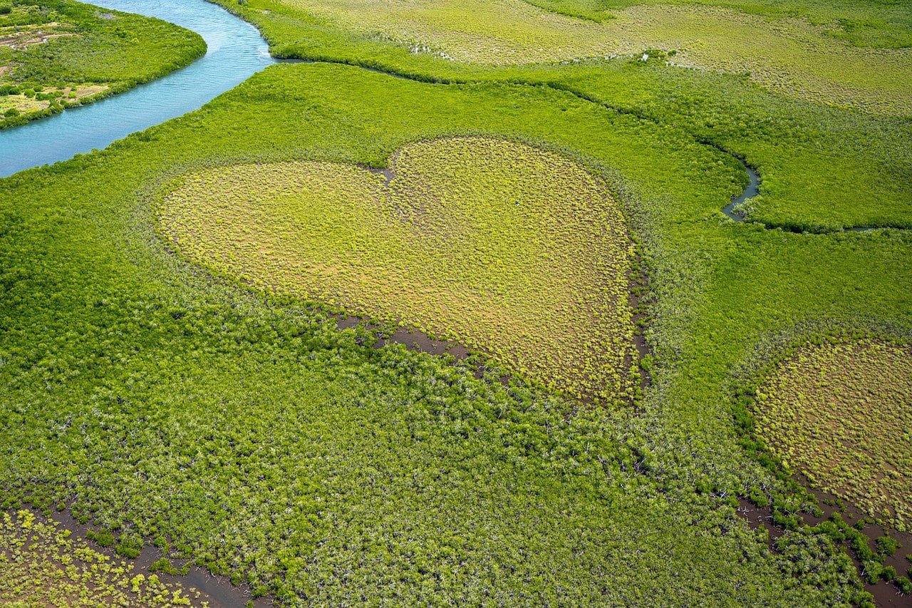 heart, heart of voh, cœur de voh, formation of vegetation, trees, mangrove, ocean, coast, voh, new caledonia, aerial view, earth day, earth day, earth day, nature, earth day, earth day, earth day